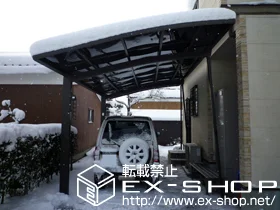 �R�������s��LIXIL ���N�V���i�g�X�e���j�̃J�[�|�[�g �J�[�u�|�[�g�V�O�}III �ϐ�`20cm�Ή��{���E���T�|�[�g 2�{���� �{�H��