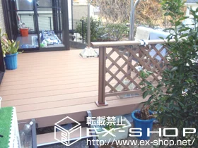 scŝ̃EbhfbLAeX͂ET[ RXe[WII Ṕ{fbLtFX tbg`Xieځj {H