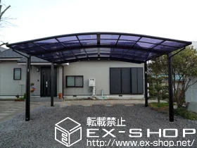 ���m���L���s��LIXIL ���N�V���i�g�X�e���j�̃J�[�|�[�g �J�[�u�|�[�g�V�O�}III   ���C�h �ϐ�`20cm�Ή� �{�H��