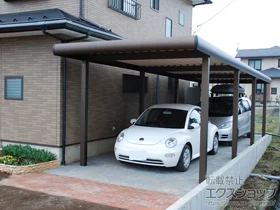 YKKAP�̃J�[�|�[�g ���I���|�[�gneoDX �c�A�� �ϐ�`50cm�Ή� �{�H��