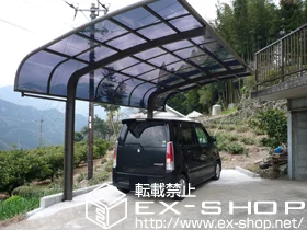 LIXIL NV(gXe)̃J[|[g e[|[gVO}III ϐ`20cmΉ {H