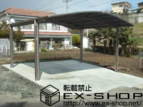 �{�錧�{��S��������LIXIL ���N�V���i�g�X�e���j�̃J�[�|�[�g �J�[�u�|�[�g�V�O�}III M���� �ϐ�`20cm�Ή� �{�H��