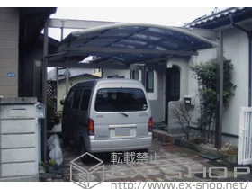 LIXIL NV(gXe)̃J[|[g }`XNGA A[M[ x^Cv ϐ`20cmΉ {H