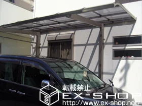 LIXIL NV(gXe)̃J[|[g K[i|[gVO}III ϐ`20cmΉ {H