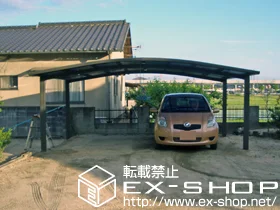 LIXIL NV(gXe)̃J[|[g J[u|[gVO}III Ch ϐ`20cmΉ {H