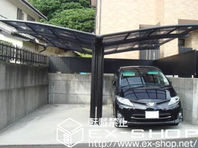 LIXIL NV(gXe)̃J[|[g J[u|[gVO}III Y ϐ`20cmΉ {H