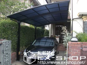 ��ʌ����ʌS��LIXIL ���N�V���i�g�X�e���j�̃J�[�|�[�g �J�[�u�|�[�g�V�O�}III �ϐ�`20cm�Ή� �{�H��