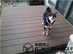 �É����l���s�����YKKAP�̃E�b�h�f�b�L ���E�b�h�f�b�LII �P�� �{�H��