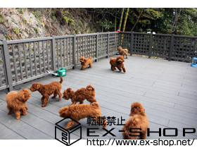 のウッドデッキ リウッドデッキ200 Hタイプ・Tタイプ＋リウッドデッキフェンス1型・門扉T100＋ステップSタイプ2段 施工例