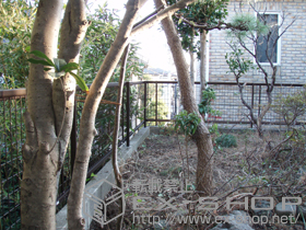 のフェンス・柵 レスティナメッシュフェンス2型 自由柱施工 施工例