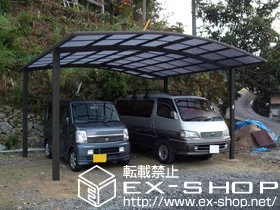 �L�����O���s��LIXIL ���N�V���i�g�X�e���j�̃J�[�|�[�g �J�[�u�|�[�g�V�O�}�V���C�h �ϐ�`20cm�Ή� �{�H��