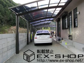 ���Ɍ����p�S���p����LIXIL ���N�V���i�g�X�e���j�̃J�[�|�[�g �J�[�u�|�[�g�V�O�}III �ϐ�`20cm�Ή� �{�H��