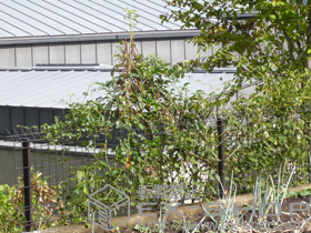 のフェンス・柵 メッシュフェンス G10-R 自由柱方式 施工例