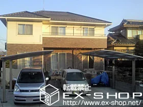 LIXIL ���N�V��(�g�X�e��)�̃J�[�|�[�g �J�[�u�|�[�g�V�O�}III �ϐ�`20cm�Ή� �{�H��