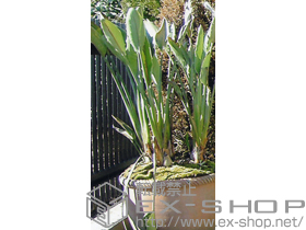 のフェンス・柵 アルミトンガ1型 フリーポールタイプ 施工例