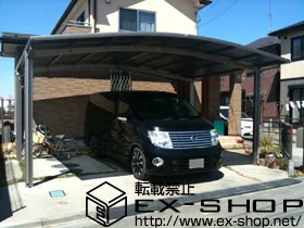 ��ʌ���z�s��LIXIL ���N�V���i�g�X�e���j�̃J�[�|�[�g �J�[�u�|�[�g�V�O�}III ���C�h �ϐ�`20cm�Ή� �{�H��