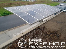 ��t����t�s�΋��Value Select�̃J�[�|�[�g �v���V�I�X�|�[�g �ϐ�`20cm�Ή� �{�H��