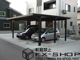 V鎭sLIXIL(NV)̃J[|[g W[|[gneo 2p@ϐ`150cmΉ {H