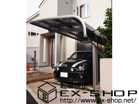 LIXIL NV(gXe)̃J[|[g e[|[gVO}III ϐ`20cmΉ {H