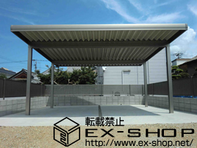 のカーポート テリオスポートII 900 2台用 積雪〜30cm対応 施工例