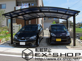 のカーポート プレシオスポート ワイド 積雪〜20cm対応 施工例