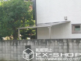 ʌŝ̃J[|[gAeX CU[eXII F^ eX^Cv {H