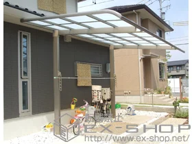 LIXIL NV(gXe)̃J[|[g K[i|[gVO}III JȂ ϐ`20cmΉ+[ W^Cv 2{ {H