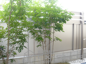 のフェンス・柵 ライフモダンII YP型フェンス フリーポール 施工例