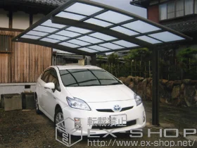 LIXIL ���N�V��(�g�X�e��)�̃J�[�|�[�g �J�[�u�|�[�g�V�O�}III�@�ϐ�`20cm�Ή� �{�H��