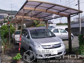 LIXIL ���N�V��(�g�X�e��)�̃J�[�|�[�g �J�[�u�|�[�g�V�O�}III �ϐ�`30cm�Ή�+���E���T�|�[�g�@�����O��23�p �~2�{ �{�H��