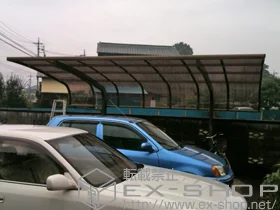LIXIL ���N�V��(�g�X�e��)�̃J�[�|�[�g �e�[���|�[�g�V�O�}III�@�ϐ�`20cm�Ή� �{�H��