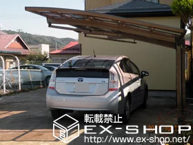 �������c���s��LIXIL ���N�V���i�g�X�e���j�̃J�[�|�[�g �J�[�u�|�[�g�V�O�}III �ϐ�`20cm�Ή��{���[���T�|�[�g �{�H��