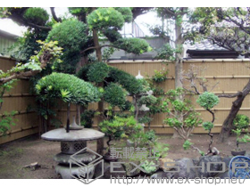 のフェンス・柵 京香 建仁寺垣 フリーポールタイプ 片面仕様+コーナー部品+汎用形材　40×40×2/ブロンズ 施工例