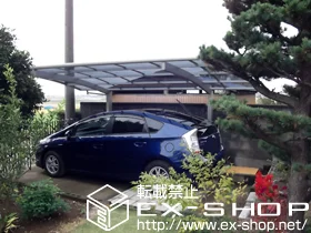 QnԌSјCRLIXIL NVigXej̃J[|[g vVIX|[g ϐ`20cmΉ {H