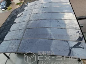 Value Select�̃J�[�|�[�g �v���V�I�X�|�[�g ���C�h �ϐ�`20�����Ή� �{�H��