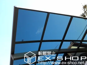 LIXIL ���N�V��(�g�X�e��)�̃J�[�|�[�g �J�[�u�|�[�g�V�O�}III �ϐ�`20cm�Ή� �{�H��