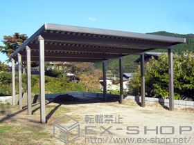 のカーポート テリオスポートIII 4500 2台用 奥行延長 8本柱 積雪〜150ｃｍ対応 施工例