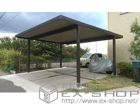 のカーポート テリオスポートIII 900 2台用 4本柱 積雪〜30cm対応 施工例