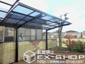 LIXIL ���N�V��(�g�X�e��)�̃J�[�|�[�g �J�[�u�|�[�g�V�O�}III �ϐ�`20cm�Ή� �{�H��