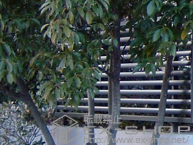 のフェンス・柵 プリレオR3型フェンス フリーポールタイプ 施工例