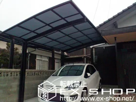 LIXIL ���N�V��(�g�X�e��)�̃J�[�|�[�g �J�[�u�|�[�g�V�O�}III �ϐ�`20cm�Ή��{�J�[�u�|�[�g�V�O�}�V ���E���T�|�[�g�� �{�H��