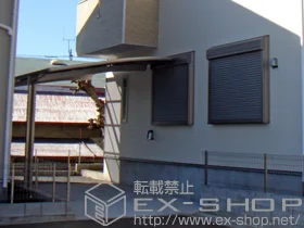 LIXIL ���N�V��(�g�X�e��)�̃J�[�|�[�g �J�[�u�|�[�g�V�O�}III �ϐ�`20cm�Ή� �{�H��