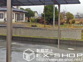 Rcŝ̃J[|[gAtFXEE GNXCtFX5^ R^Cv {H