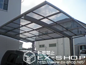 LIXIL ���N�V��(�g�X�e��)�̃J�[�|�[�g �J�[�u�|�[�g�V�O�}III �ϐ�`20cm�Ή� �{�H��