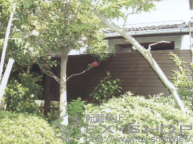 のフェンス・柵 エクスラインフェンス7型 多段柱施工 施工例