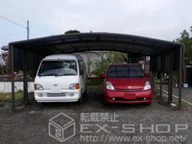 LIXIL ���N�V��(�g�X�e��)�̃J�[�|�[�g �J�[�u�|�[�g�V�O�}III ���C�h �ϐ�`30cm�Ή�+�J�[�u�|�[�g�V�O�}�V �T�C�h�p�l��1�i �{�H��