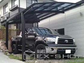 YKKAP�̃J�[�|�[�g ���C�i�|�[�g �ϐ�`20cm�Ή� �{�H��