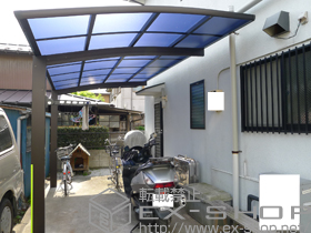 のカーポート レイナポート 積雪〜20cm対応+収納式物干し 標準 2本入 施工例