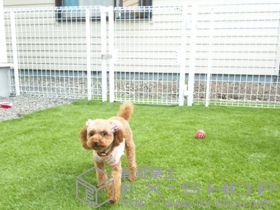 の門扉 イーネット門扉1型 片開き 施工例