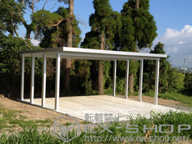 のカーポート テリオスポートIII 3000 角柱仕様 積雪〜100cm対応 施工例